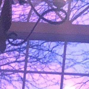 Meet your Posher, Morgan